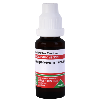 Sempervivum Tectorum 1X (Q) (20ml)